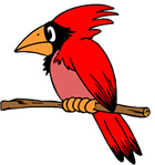 cardinal